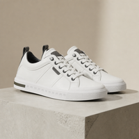 White/Gray