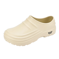 Beige Without Velvet