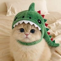 Headgear