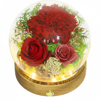 Red Rose 1