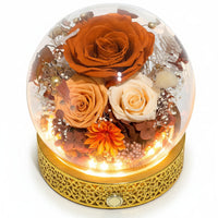 Orange Rose