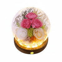 Pink Rose 1